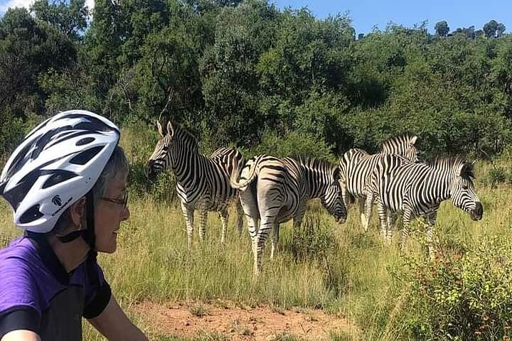 Half Day E-Biking with Wildlife Watching in Pretoria - Photo 1 of 19